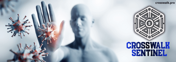 Crosswalk Sentinel banner